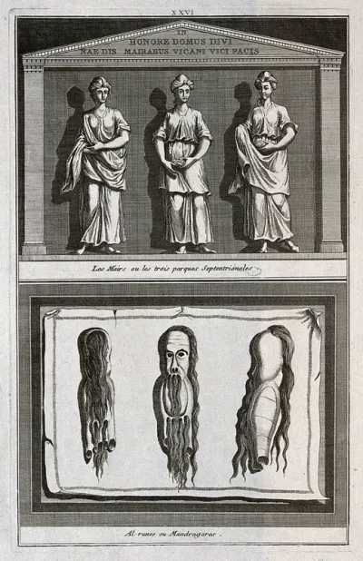 Three mother-goddesses or fates (above); three mandrake charms (below)