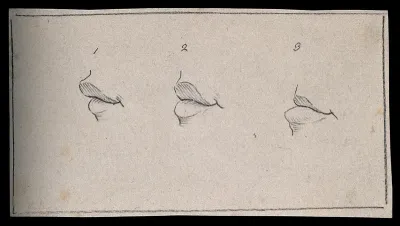 Three mouths with variously projecting lips