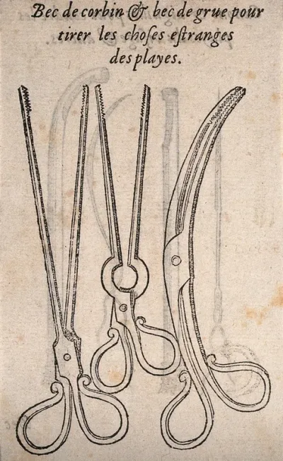 Three pairs of surgical forceps, used to remove foreign bodies