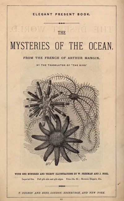 Three sea-creatures