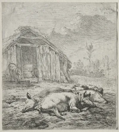 Three Swine Lying in Front of a Sty