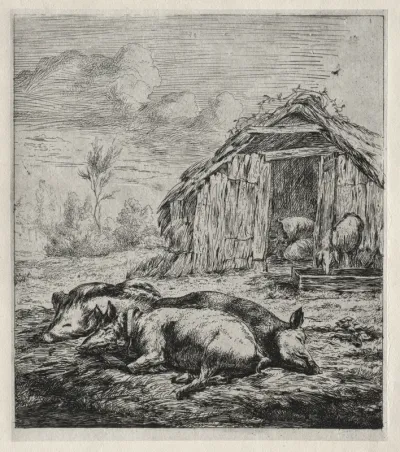 Three Swine Lying in Front of a Sty