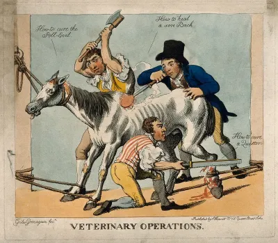 Three veterinary surgeons attempting to cure a horse of various ailments, using dubious and violent means