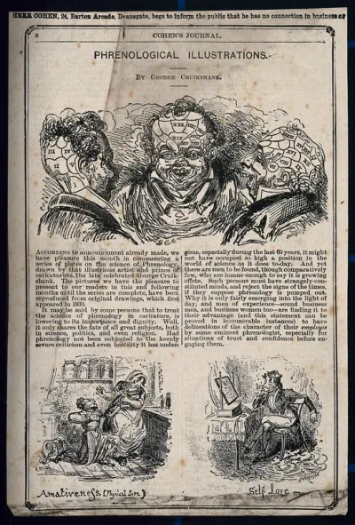 Three vignettes of phrenological heads and two phrenological propensities, amativeness and self love