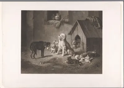 Tien honden in en voor een hondenhok