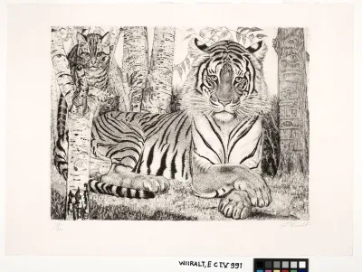 Tiger and cat