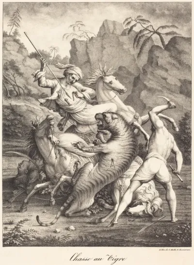 Tiger Hunt