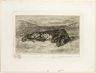 Tiger Resting in the Desert