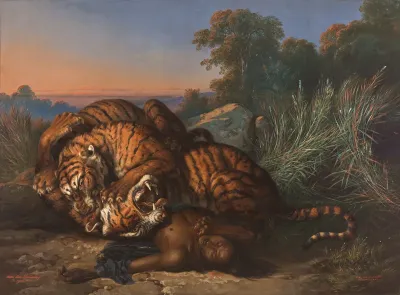 Tigers Fighting over a Dead Javanese