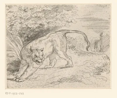 Tigre en arrêt