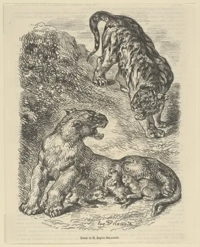 Tigress Attacked by a Tiger While Nursing her Young, from "Le Magasin Pittoresque"