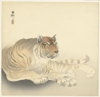 Tijger