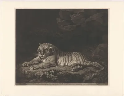 Tijgerin