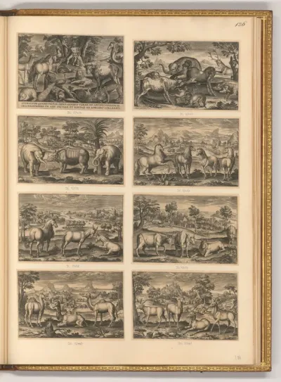 Titelblatt, Animalium quatro Pedum, Tiere, Vierbeiner