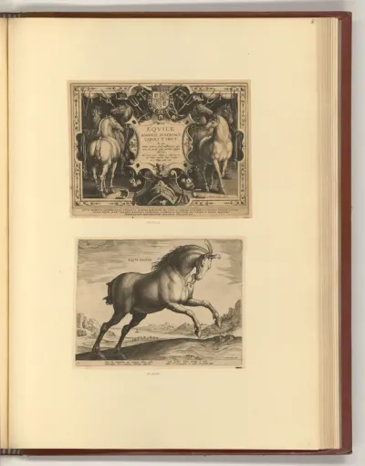 Titelblatt, Equile Ioannis Austriaci, Pferde