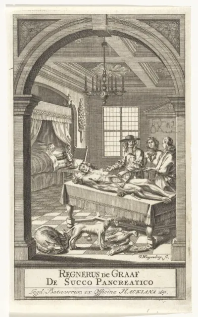 Titelpagina voor: Graaf, Reinier de. De Succo Pancreatico, 1671
