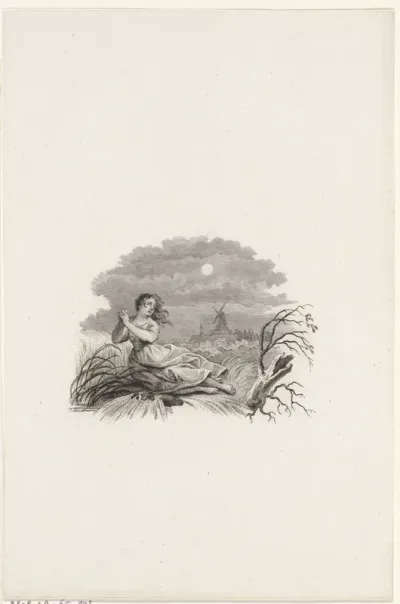 Titelpagina voor: S. van Hoek 'Natuur- en Geschiedkundige Beschrijving van den verschrikkelijken Watervloed', 1808