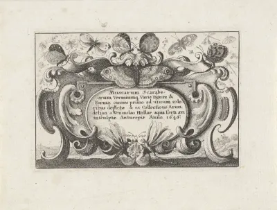 Titelprent in cartouche voor een serie met verschillende insecten