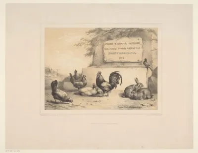 Titelprent met kippen, konijnen en een duif
