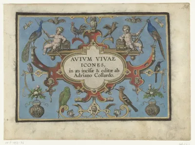 Titelprent voor: Avium vivae Icones (...)