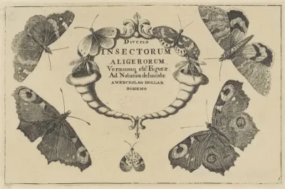 Titelprent voor een serie met verschillende insecten