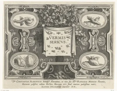 Titelprent voor: Vermis Sericus