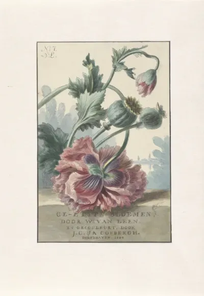 Titelprent voor: W. van Leen en J.C. & J.A. Coebergh, Ge-etste Bloemen, 1804
