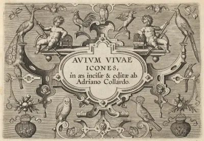 Title Page