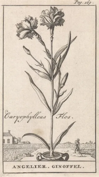 Title Page and Eight Prints with Flowers