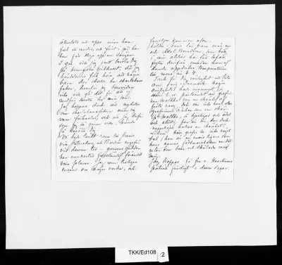TKK/Ed108, Edelfelt, Albert, 21.1.1895