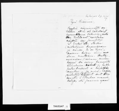 TKK/Ed47, Edelfelt, Albert, 2.5.1899