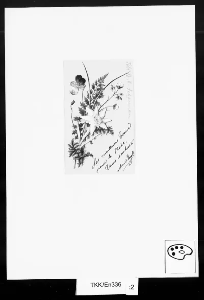 TKK/En336, Engblom, Alma, 21.12.1882