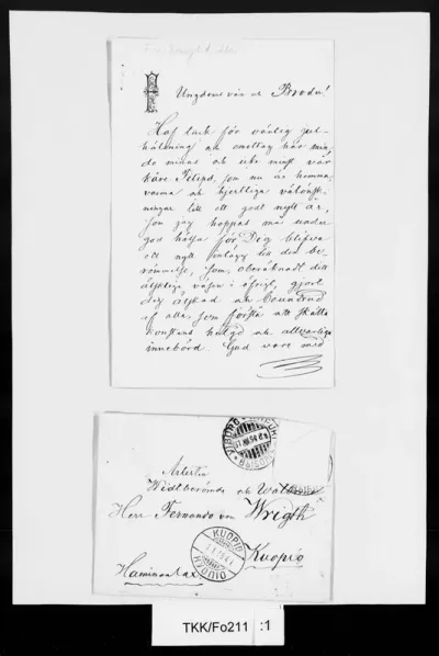 TKK/Fo211, Forstén, Mortimer, [31.12.1894]