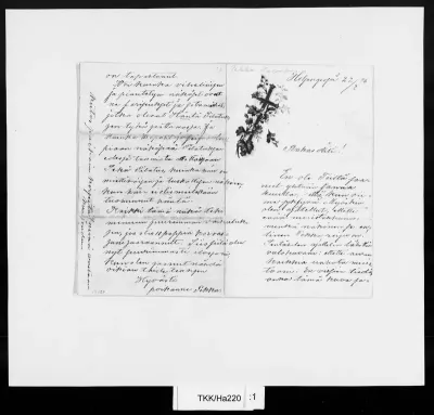 TKK/Ha220, Halonen, Pekka, 22.8.1886