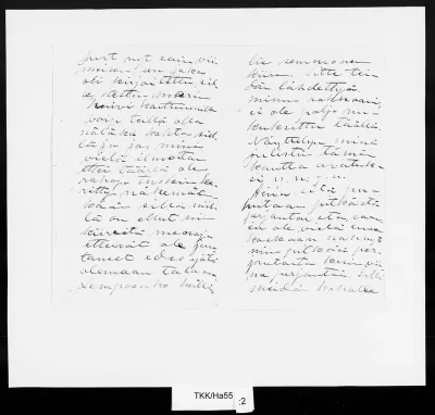 TKK/Ha55, Halonen, Emil, 17/18.4.1900
