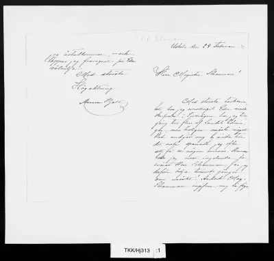 TKK/Hj313, Hjelt, Anna, 24.2.1877