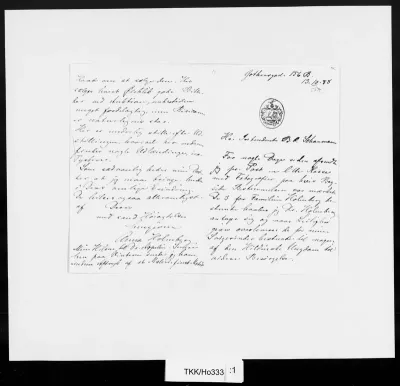 TKK/Ho333, Holmberg, Anna, 13.10.1888