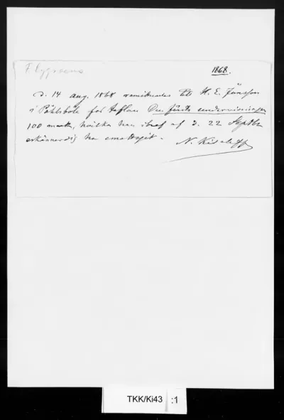TKK/Ki43, Kiseleff, N., [syksy] 1868