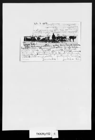 TKK/Ky152, Kyyhkynen, Juho K., 30.05.1900