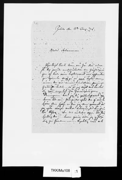 TKK/Mu108, Munsterhjelm, Hjalmar, 1?.8.1878