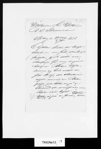 TKK/Ne13, Neiglick, Alexander Johan, 23.5./4.6.1873