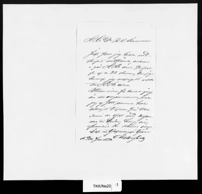TKK/Ne20, Neiglick, Alexander Johan, 12./24.6.1874