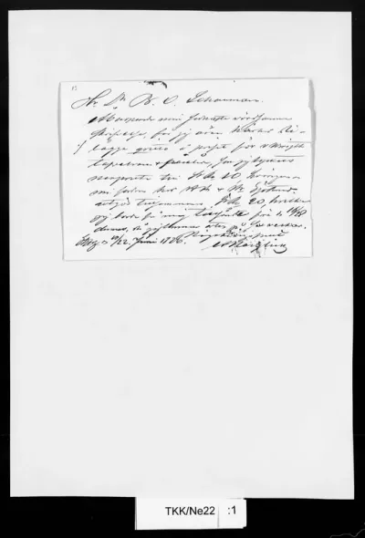 TKK/Ne22, Neiglick, Alexander Johan, 10./22.6.1876