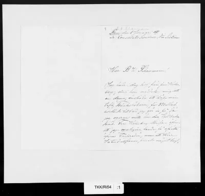 TKK/Ri54, Ribbing, Sofie, 8.1.1889