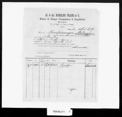 TKK/Ru111, Runeberg, Walter vai Runeberg, J.? (Al. & Ad. Roesler Franz & Co:n kautta), 4.10.1875