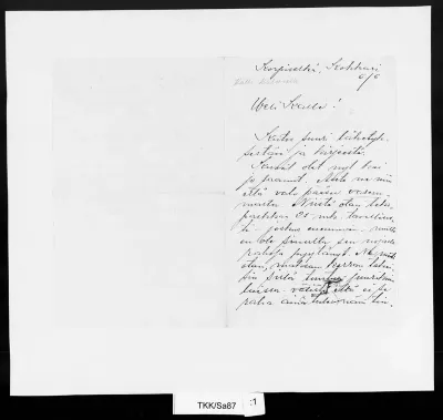TKK/Sa87, Salo, Wilho, 6.6.[1895]