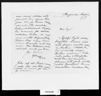 TKK/Sa88, Salo, Wilho, 9.7.[1895?]