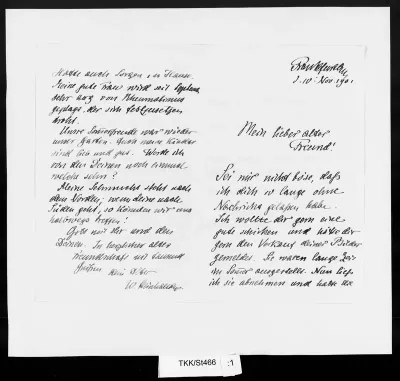 TKK/St466, Steinhausen, Wilhelm, 10.11.1901
