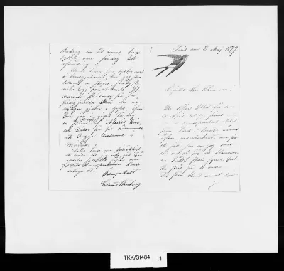 TKK/St484, Stenberg, Johan Erland, 2.5.1879