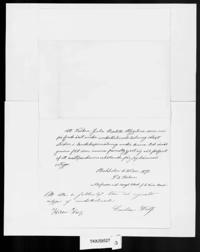 TKK/St527, Stigzelius, Julia (de Cock-Stigzelius, Julia), 8.9.1875